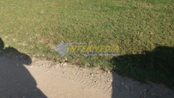 teren-intravilan-760mp-de-vanzare-in-oarda-1